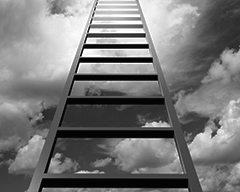 �I(y��)�l(f��)չ